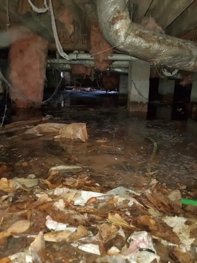 Crawl space flood assessment for Leak Detection & Repair in Hutchins